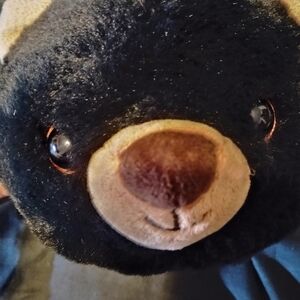 Aurora Plush Black Bear with Brown Snout